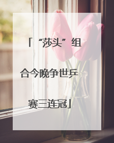 “莎头”组合今晚争世乒赛三连冠