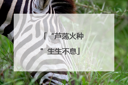 “芦荡火种”生生不息