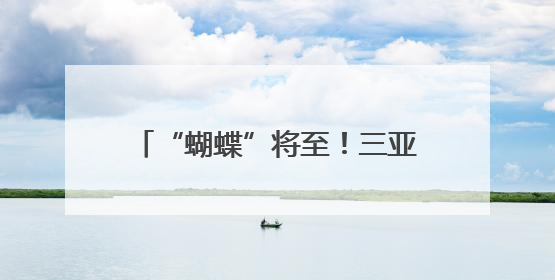 “蝴蝶”将至！三亚此类项目已暂停营业