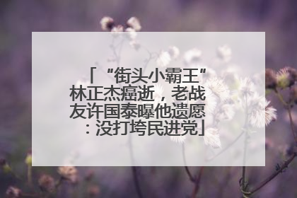 “街头小霸王”林正杰癌逝，老战友许国泰曝他遗愿：没打垮民进党