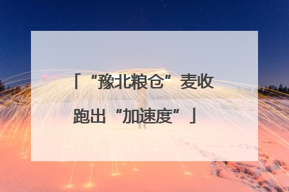 “豫北粮仓”麦收跑出“加速度”