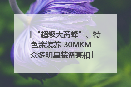 “超级大黄蜂”、特色涂装苏-30MKM 众多明星装备亮相