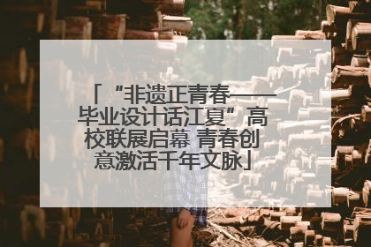 “非遗正青春——毕业设计话江夏”高校联展启幕 青春创意激活千年文脉