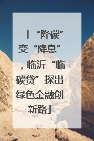 “降碳”变“降息”，临沂“临碳贷”探出绿色金融创新路