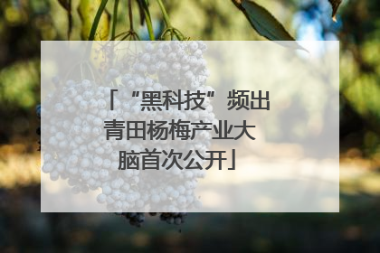 “黑科技”频出 青田杨梅产业大脑首次公开