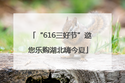 “616三好节”邀您乐购湖北嗨今夏