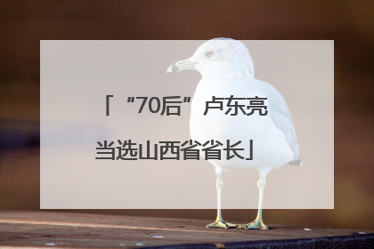 “70后”卢东亮当选山西省省长
