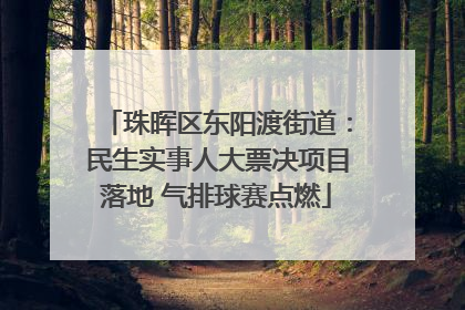 珠晖区东阳渡街道：民生实事人大票决项目落地 气排球赛点燃