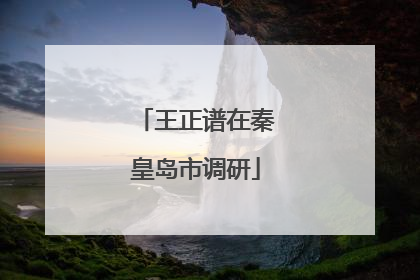 王正谱在秦皇岛市调研