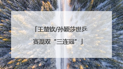 王楚钦/孙颖莎世乒赛混双“三连冠”