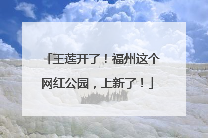 王莲开了！福州这个网红公园，上新了！