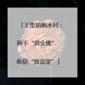 王集镇响水村：种下“黄金桃” 收获“致富果”
