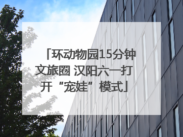 环动物园15分钟文旅圈 汉阳六一打开“宠娃”模式