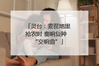 灵台：麦茬地里抢农时 奏响复种“交响曲”