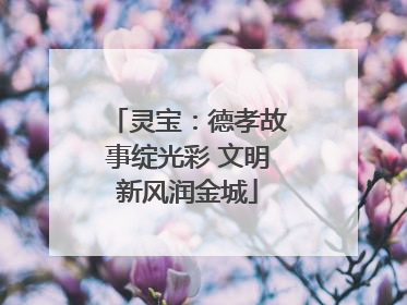 灵宝：德孝故事绽光彩 文明新风润金城