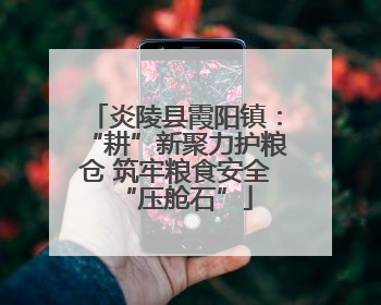 炎陵县霞阳镇：“耕”新聚力护粮仓 筑牢粮食安全“压舱石”