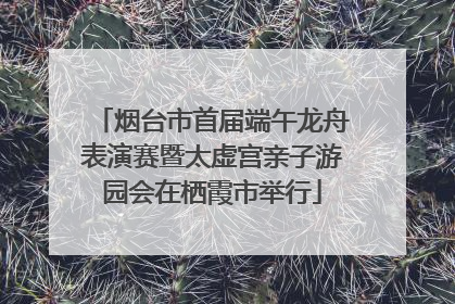 烟台市首届端午龙舟表演赛暨太虚宫亲子游园会在栖霞市举行
