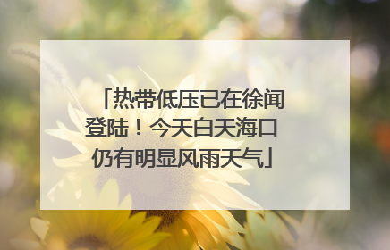 热带低压已在徐闻登陆！今天白天海口仍有明显风雨天气