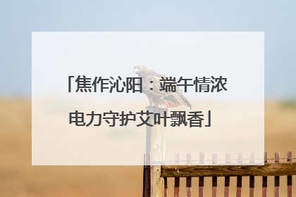 焦作沁阳：端午情浓 电力守护艾叶飘香