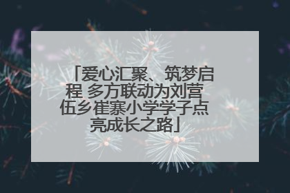 爱心汇聚、筑梦启程 多方联动为刘营伍乡崔寨小学学子点亮成长之路