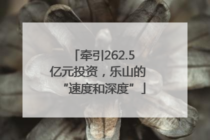 牵引262.5亿元投资，乐山的“速度和深度”