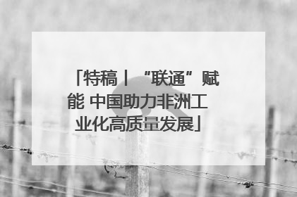特稿丨“联通”赋能 中国助力非洲工业化高质量发展
