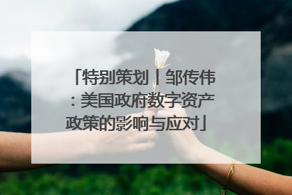 特别策划丨邹传伟：美国政府数字资产政策的影响与应对