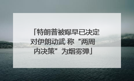 特朗普被曝早已决定对伊朗动武 称“两周内决策”为烟雾弹