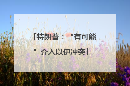 特朗普：“有可能”介入以伊冲突
