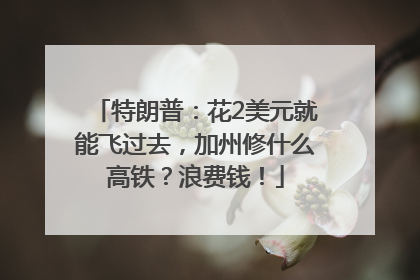 特朗普：花2美元就能飞过去，加州修什么高铁？浪费钱！