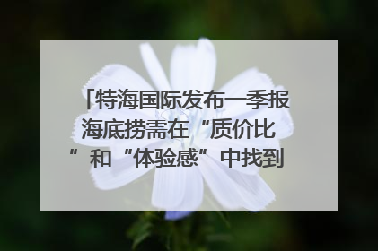 特海国际发布一季报 海底捞需在“质价比”和“体验感”中找到平衡｜新经济观察