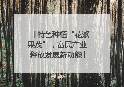 特色种植“花繁果茂”，富民产业释放发展新动能