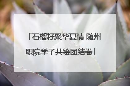 石榴籽聚华夏情 随州职院学子共绘团结卷