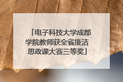 电子科技大学成都学院教师获全省廉洁思政课大赛三等奖