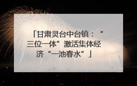 甘肃灵台中台镇：“三位一体”激活集体经济“一池春水”