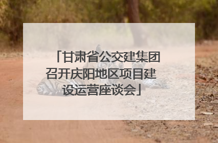 甘肃省公交建集团召开庆阳地区项目建设运营座谈会