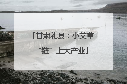 甘肃礼县：小艾草“链”上大产业