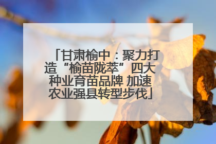 甘肃榆中：聚力打造“榆苗陇萃”四大种业育苗品牌 加速农业强县转型步伐