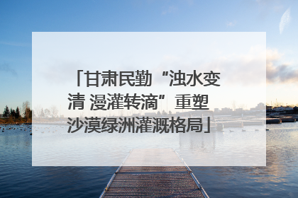 甘肃民勤“浊水变清 漫灌转滴”重塑沙漠绿洲灌溉格局
