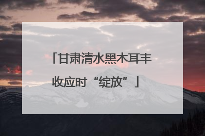 甘肃清水黑木耳丰收应时“绽放”
