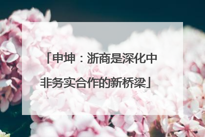 申坤：浙商是深化中非务实合作的新桥梁
