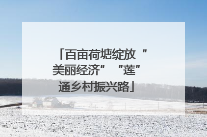 百亩荷塘绽放“美丽经济”“莲”通乡村振兴路