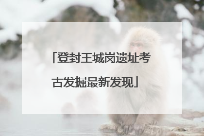 登封王城岗遗址考古发掘最新发现