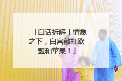 白话拆解丨情急之下，白宫敲打欧盟和苹果！