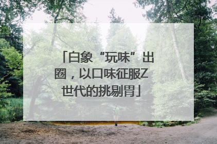 白象“玩味”出圈，以口味征服Z世代的挑剔胃