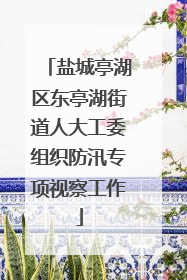 盐城亭湖区东亭湖街道人大工委组织防汛专项视察工作