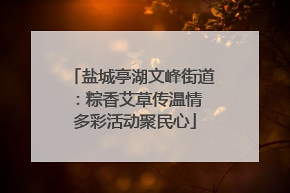盐城亭湖文峰街道：粽香艾草传温情 多彩活动聚民心