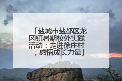 盐城市盐都区龙冈镇暑期校外实践活动：走进徐庄村，感悟成长力量
