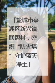 盐城市亭湖区新兴镇联盟村：密织“防火墙”守护蓝天净土