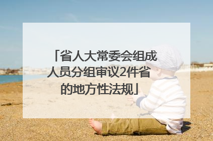 省人大常委会组成人员分组审议2件省的地方性法规